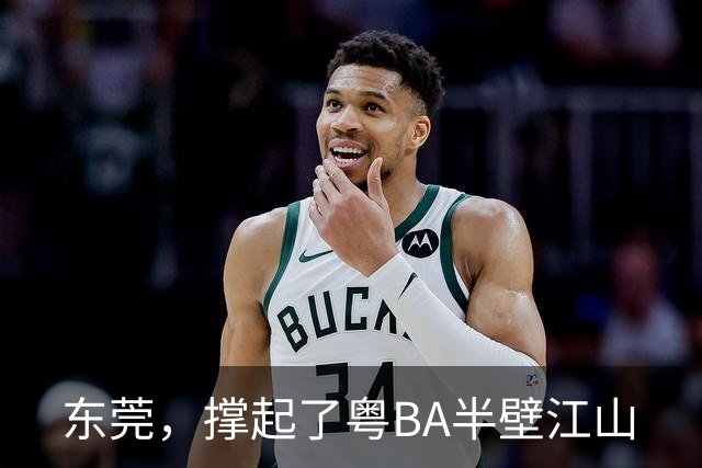 东莞，撑起了粤BA半壁江山